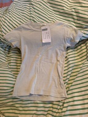 NWT Brandy Melville Light grey ish Short Sleeve Tee